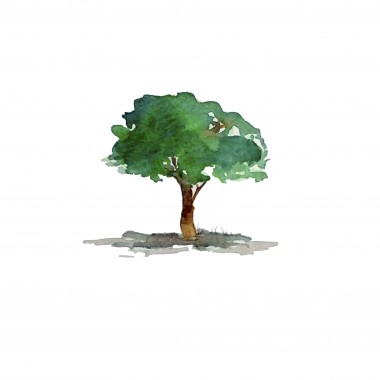 Etude arbre (1)